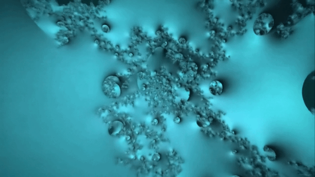 Sabedoria em Ação, Dia 20